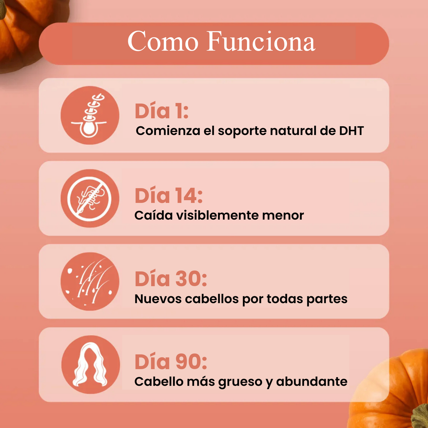Aceite de Calabaza | Anticaída Capilar